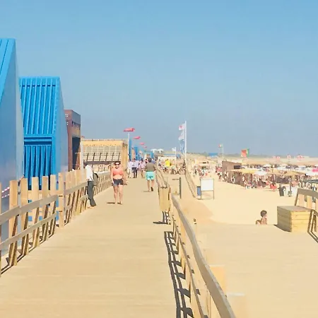 Sofisticado T2 Montegordo *